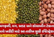 મગફળી, મગ, અડદ, સોયાબીનની ટેકાના ભાવે થશે ખરીદી, ખેડૂતો નોંધણીની તારીખો ખાસ જાણો