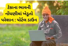ટેકાના ભાવે ખરીદીનું પોર્ટલ ફરી ઠપ – ખેડૂતોમાં નારાજગી, કૃષિમંત્રીનું મોટું નિવેદન બહાર