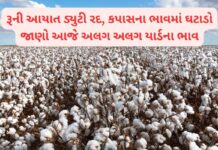 રૂની આયાત ડ્યુટી રદ, કપાસના ભાવમાં ઘટાડો – જાણો આજે અલગ અલગ યાર્ડના ભાવ