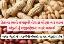 ટેકાના ભાવે મગફળી વેચવા પોણા નવ લાખ થી વધુ ખેડૂતોનું રજીસ્ટ્રેશન થયું સેટેલાઇટ વેરીફિકેશનમાં ખામીઓથી અનેક અરજીઓ રદ, ખેડૂતોમાં ભારે રોષ