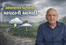 અંબાલાલ પટેલની માવઠાની આગાહી: ક્યાં અને કયારે વરસાદ પડશે? જાણવા વાંચો…