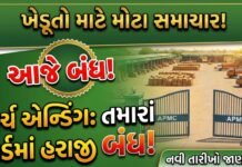 માર્ચ એન્ડિંગને કારણે ગુજરાતના યાર્ડોમાં હરાજી બંધ – ખેડૂતોએ ખાસ ધ્યાન આપવું