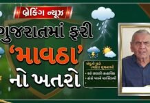 ફરી આવી રહ્યો માવઠાનો ખતરો! અંબાલાલ પટેલની મોટી આગાહીથી ખેડૂતોમાં ચિંતા