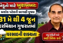 ગુજરાતના હવામાનમાં આવશે મોટો પલટો! અશોક પટેલે વ્યક્ત કરી વરસાદની સંભાવના