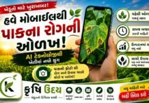 હવે મોબાઇલથી થશે પાકના રોગની ઓળખ! AI ટેક્નોલોજીથી ખેતીમાં નવો યુગ
