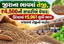જીરાના ભાવમાં જોરદાર તેજી! ખેડૂતો માટે સારા સમાચાર, ઊંઝામાં ₹5,061 સુધી ભાવ